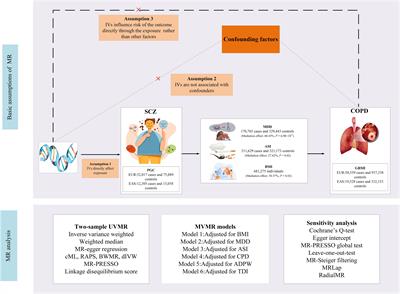 Body mass index, smoking behavior, and depression mediated the effects of schizophrenia on chronic obstructive pulmonary disease: trans-ethnic Mendelian-randomization analysis